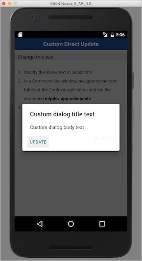 Image of custom Direct Update dialog
